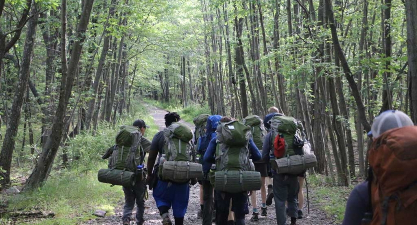 a group of backpackers hike along a trail through a green wooded area
